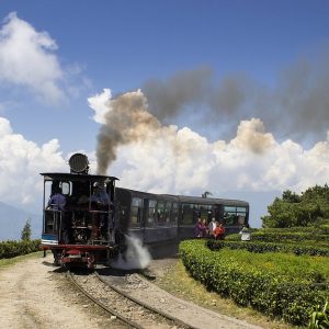 darjeeling toy train (2)