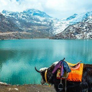 sikkim changu lake
