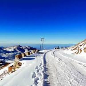 zuluk (1)